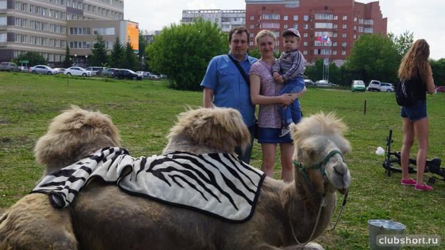35563_image-25.jpg